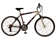 18 speed mountain bike